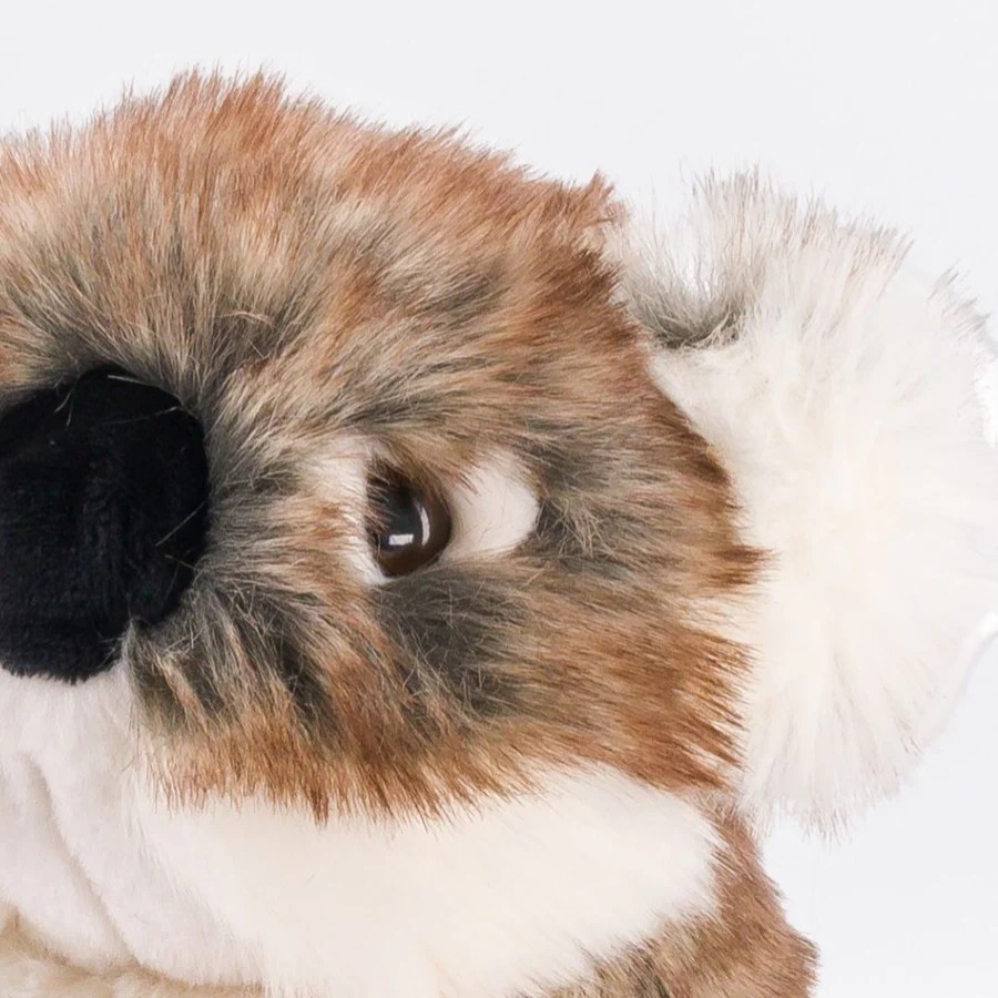 koala_30_cm_zoom_yeux