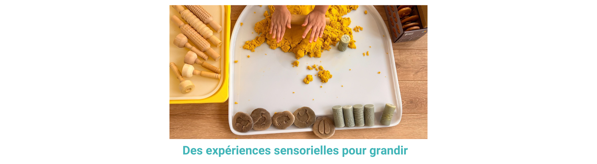 des experiences sensorielles pour grandir