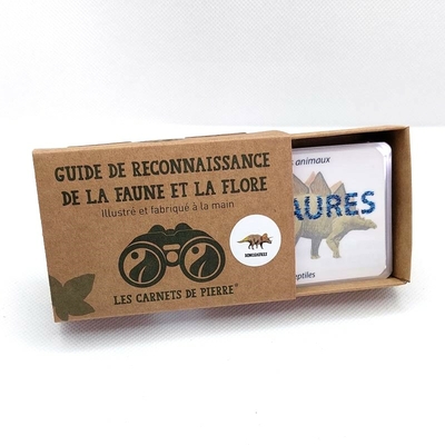 dinosaures_boite_ouvert