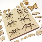 stukapuka-puzzle-insectes-apprentissages-ief-jouer