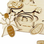 stukapuka-puzzle-insectes-apprentissages