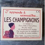 cartes-marc-vidal-japprends-a-reconnaitre-les-champignons-1