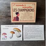 cartes-marc-vidal-japprends-a-reconnaitre-les-champignons-jeu-educatif-1