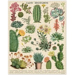 PUZZLE-CACTUS-SUCCULENTES-CAVALLINI-ASSEMBLE