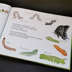 hier-chenille-aujourdhui-papillon-coll-ohe-la-science-livre-educatif