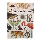 animalium-litterature-jeunesse-ief-ok