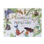 hier-chenille-aujourdhui-papillon-coll-ohe-la-science-litterature-jeunesse-rotated-ok