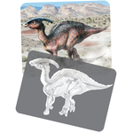 59240 Discover Dinosaurs STEGOSAURUS Card and Xray-300dpi