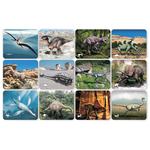 59240 Discover Dinosaurs PICTURE CARDS-300dpi