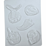 moules fossiles roylco 2