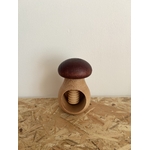 casse noix champignon marron