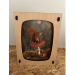 carte ecureuil lampe eteinte