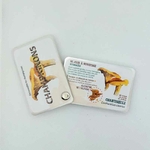 champignons-girolles carnets pierre 3