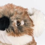 koala_30_cm_zoom_yeux