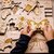 stukapuka-puzzle-insectes-apprentissages-ief-montessori-enfant