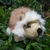 la-pelucherie-herisson-cadeau-naissance