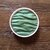 pearlcolor-aquarelle-mica-brillante-jungle-m033