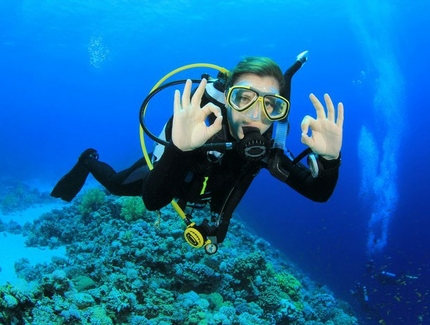 Plongee-sous-marine-a-la-recherche-de-Nemo_width620