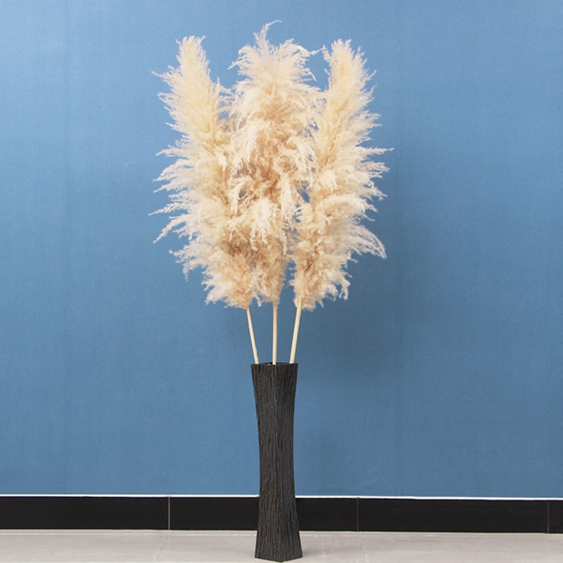 Bouquet-de-roseaux-blancs-naturels-s-ch-s-3-pi-ces-55cm-80cm-grosses-herbes-des