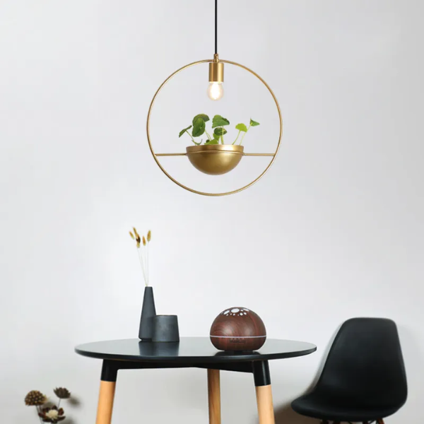 Suspension luminaire et plante doré tendance