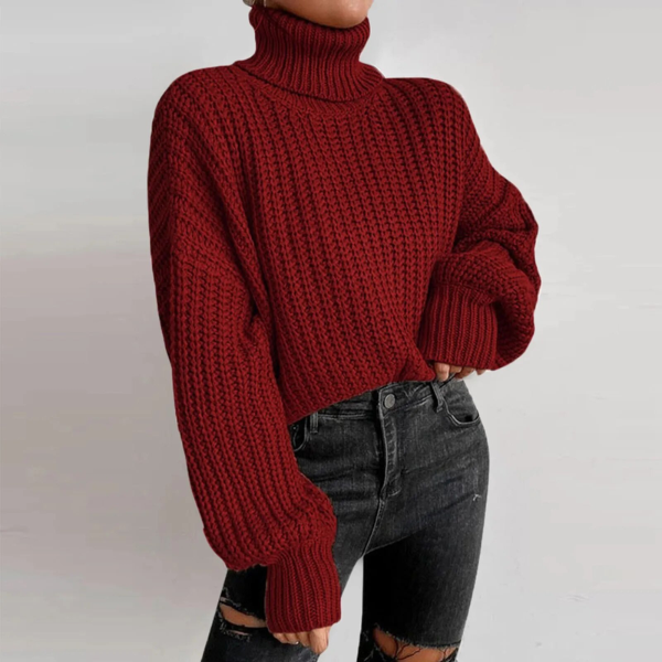 pull col roulé bordeaux femme