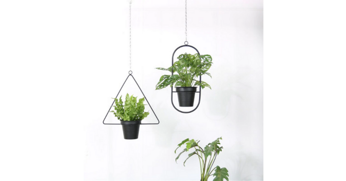 Pots Colorés Extérieur Pots De Fleurs Suspendus Zodight - Lot De 10 - Métal - 10 Couleurs - 10cm - Pour Balcon Jardin Lot Pots Métal Balcon Pots Colorés Extérieur Pots De Fleurs Suspendus Zodight - Lot De 10 - Métal - 10 Couleurs - 10cm - Pour Balcon Jardin Lot Pots Métal Balcon