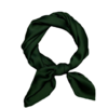 Foulard en soie femme vert foncé 2