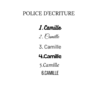 type d'écriture personnalisé