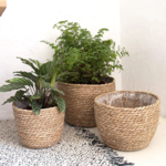 panier rotin pot de fleur
