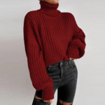 pull col roulé bordeaux femme