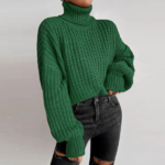 pull col roulé vert femme