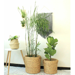 Panier-de-rangement-en-rotin-tiss-la-main-1-pi-ce-panier-de-rangement-nordique-feuille