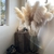 Bouquet-de-roseaux-blancs-naturels-s-ch-s-3-pi-ces-55cm-80cm-grosses-herbes-des