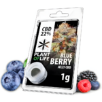 Résine CBD Blueberry_upscayl_1x_realesrgan-x4plus