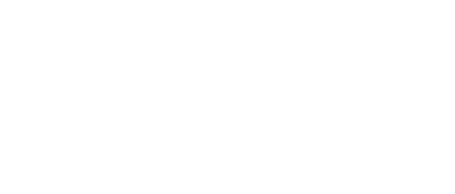 Net Global