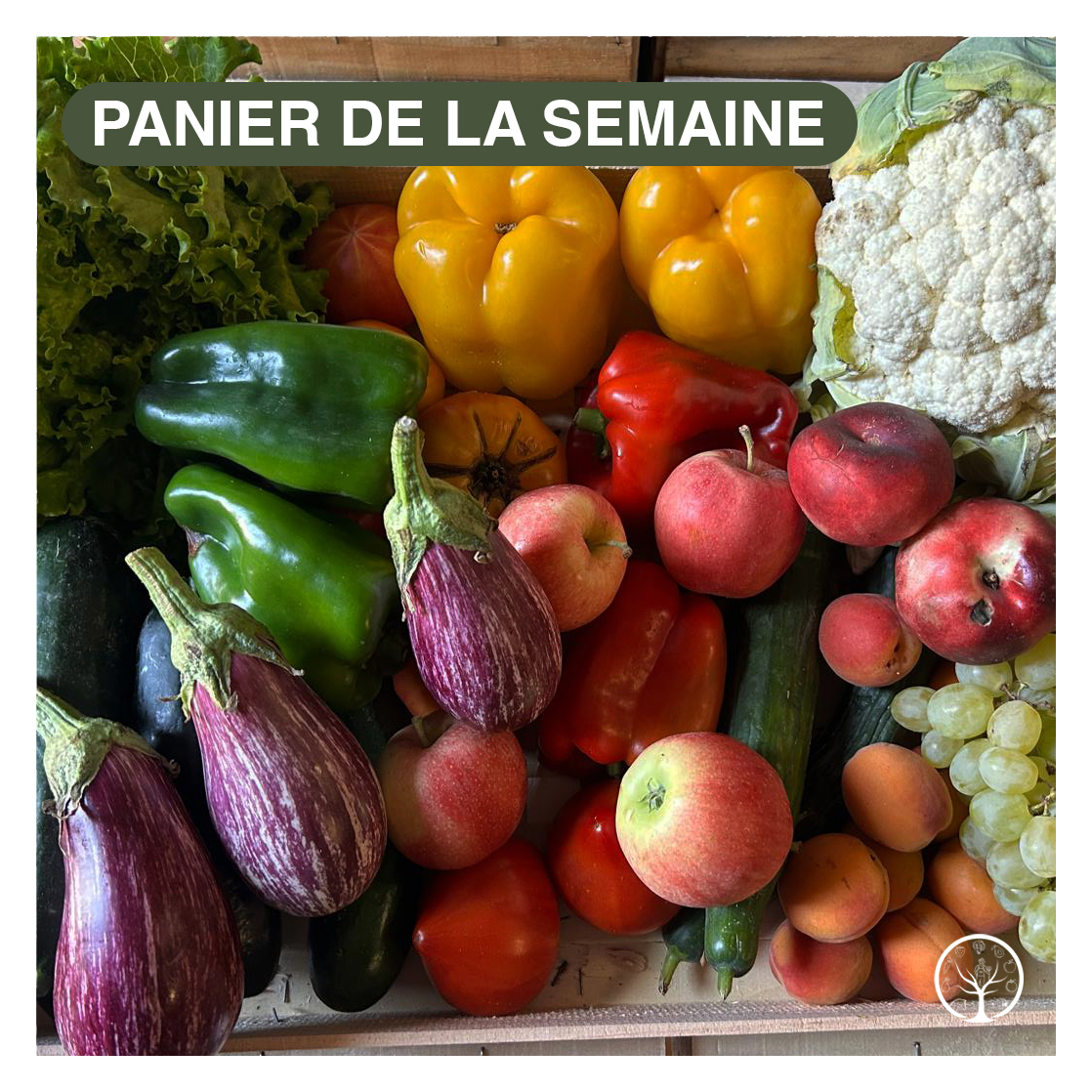 Panier de la semaine 1009