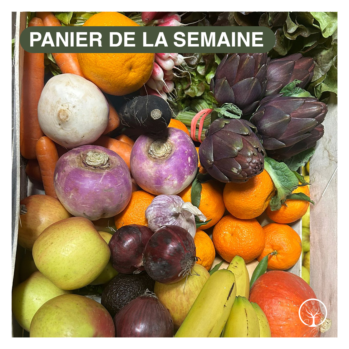 panier de la semaine 912