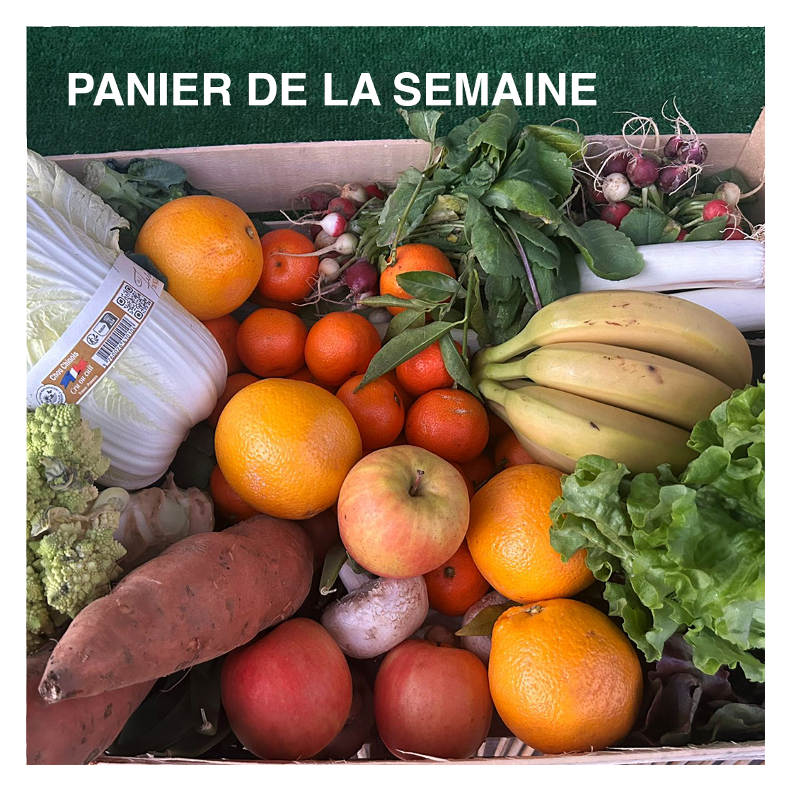 Panier semaine aurore