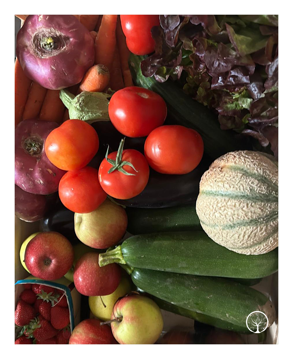 Panier semaine1