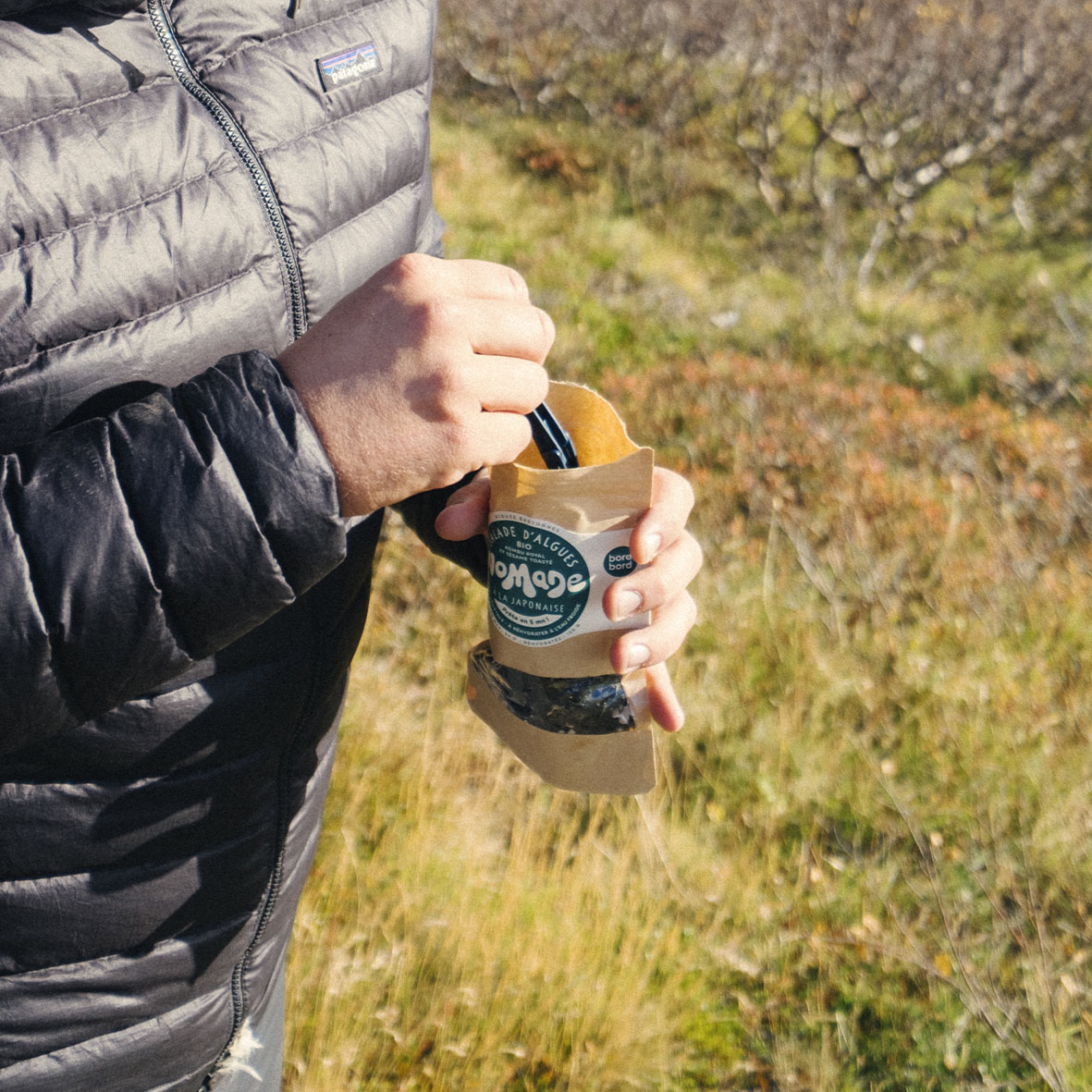 salade-algues-bio-trekking