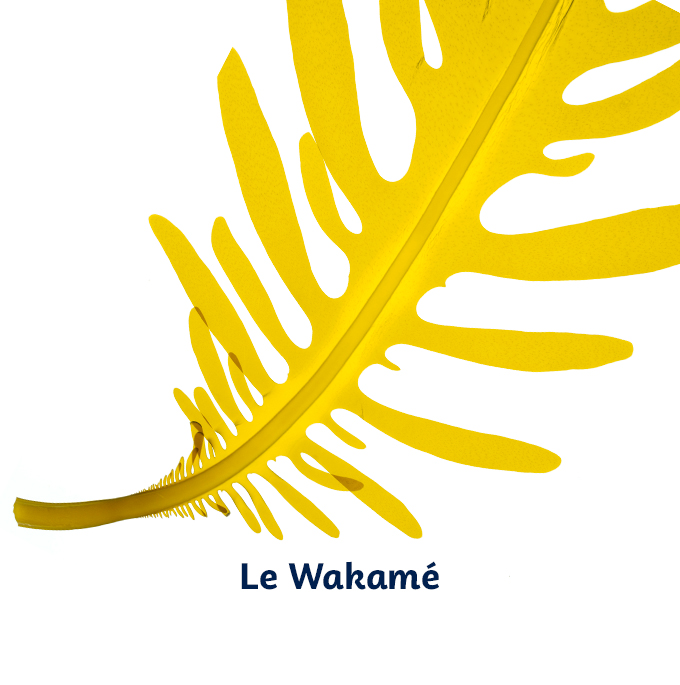 wakame