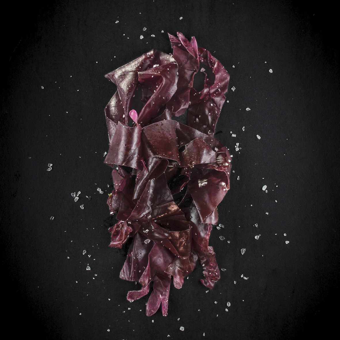 dulse-frais-sale-bio