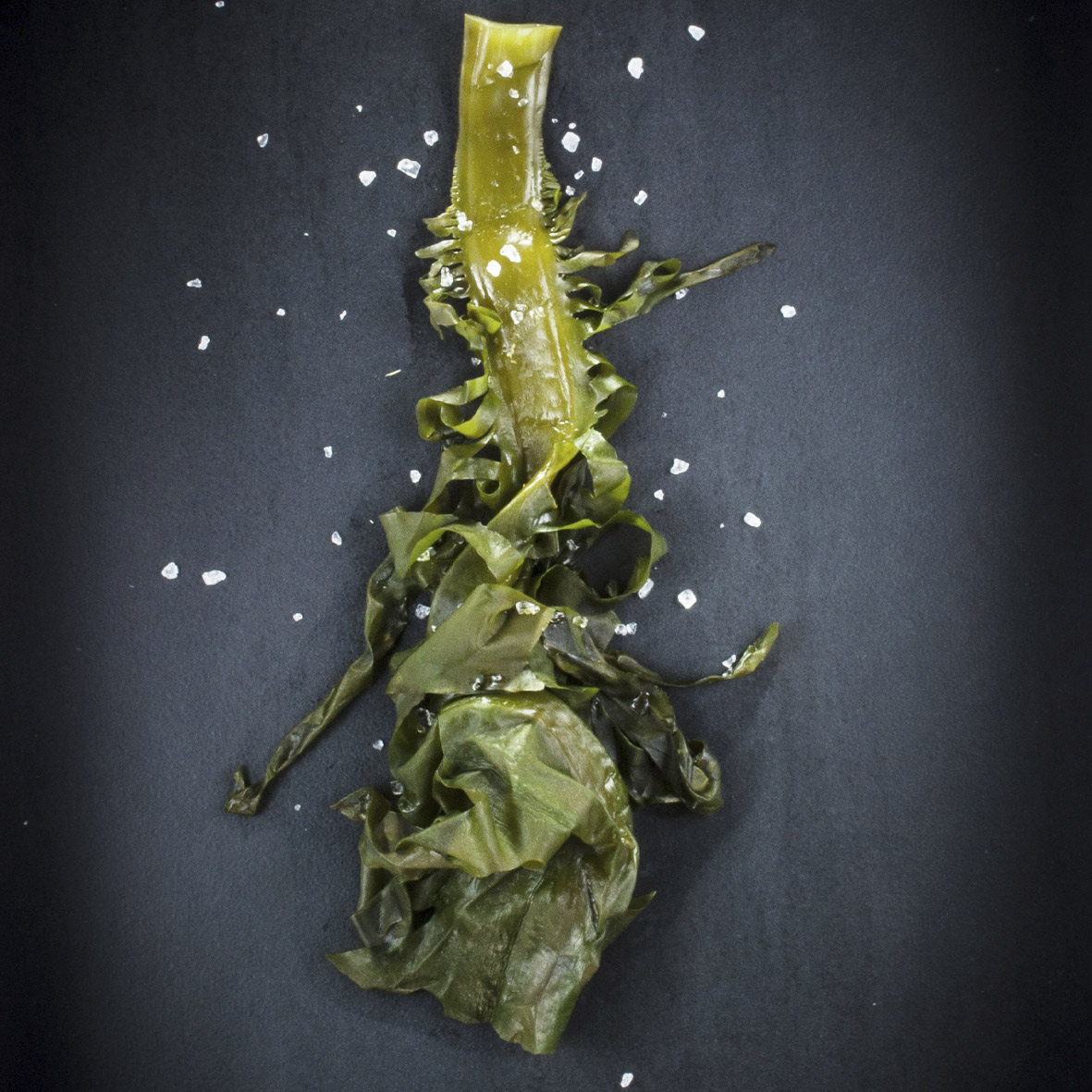 wakame-frais-sale-bio