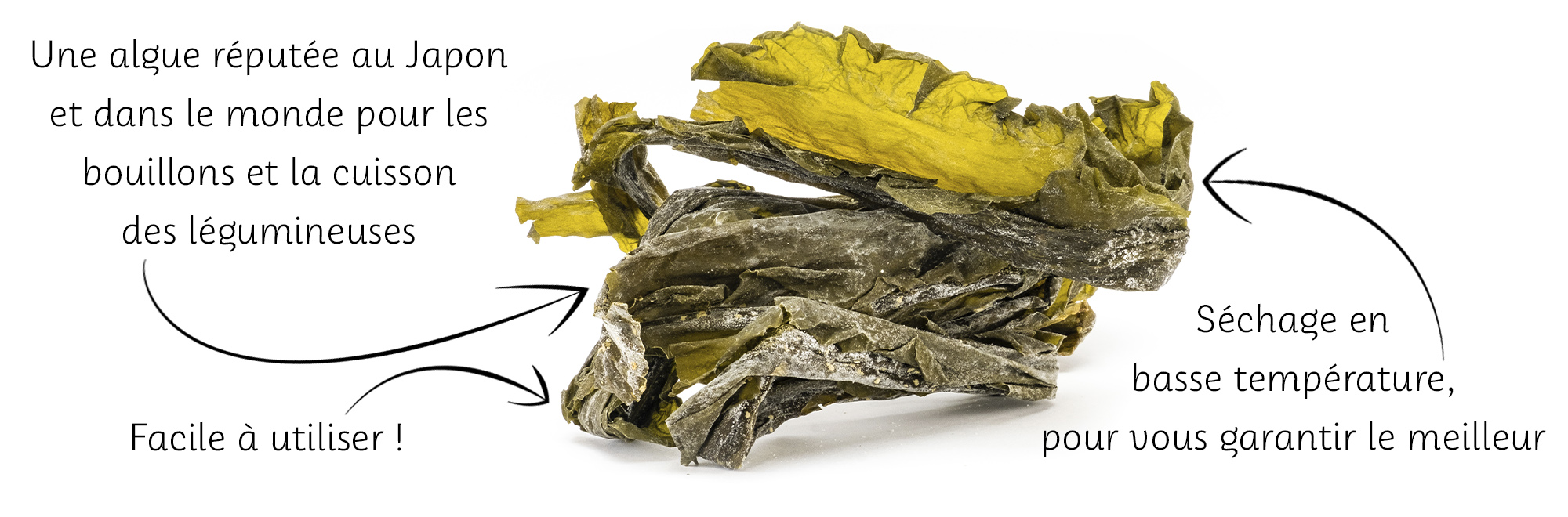 algue-seche-kombu-royal