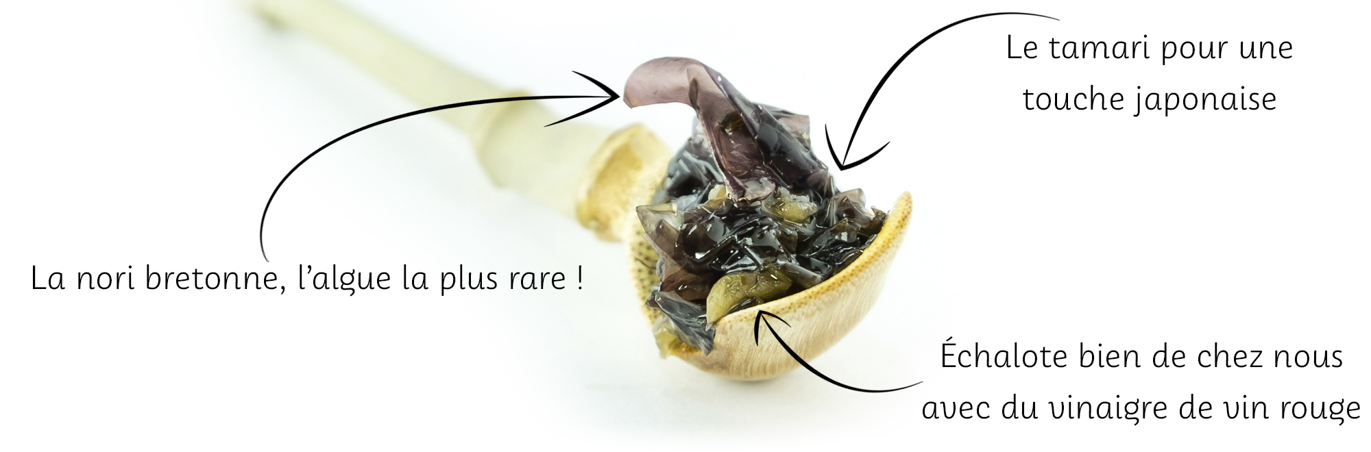 Tartare-dalgues-nori