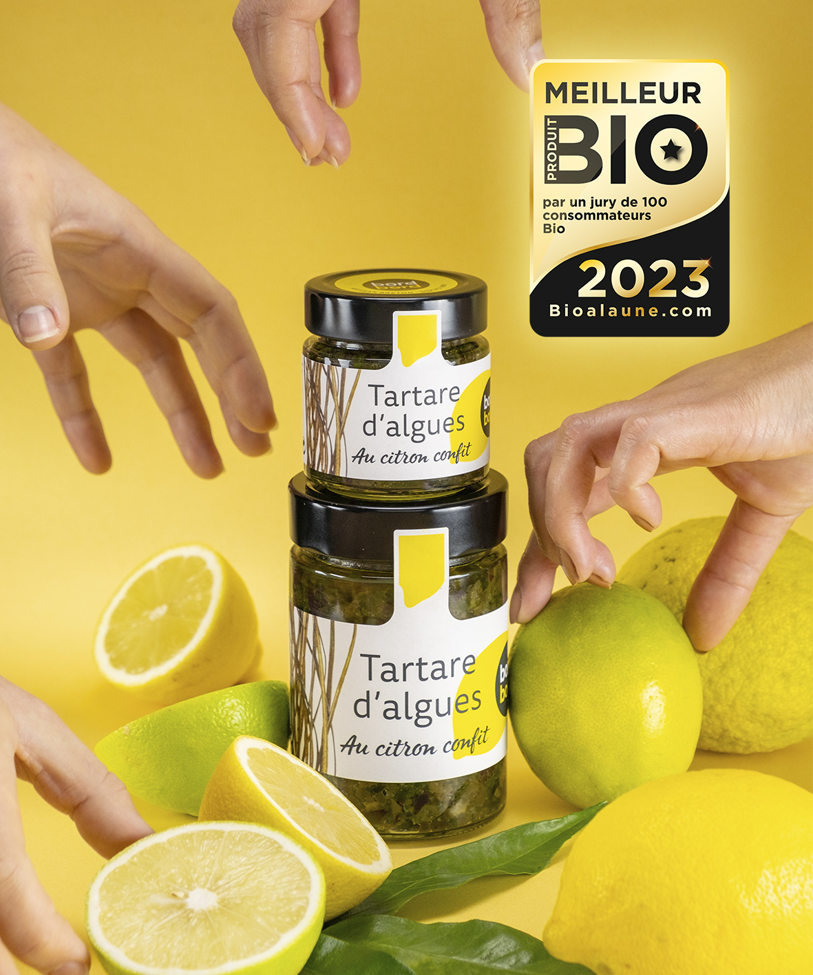 tacc 2023 mpb
