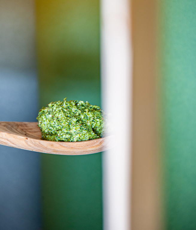 L'algue laitue de mer, c'est quoi ? - Bord à bord Bretagne