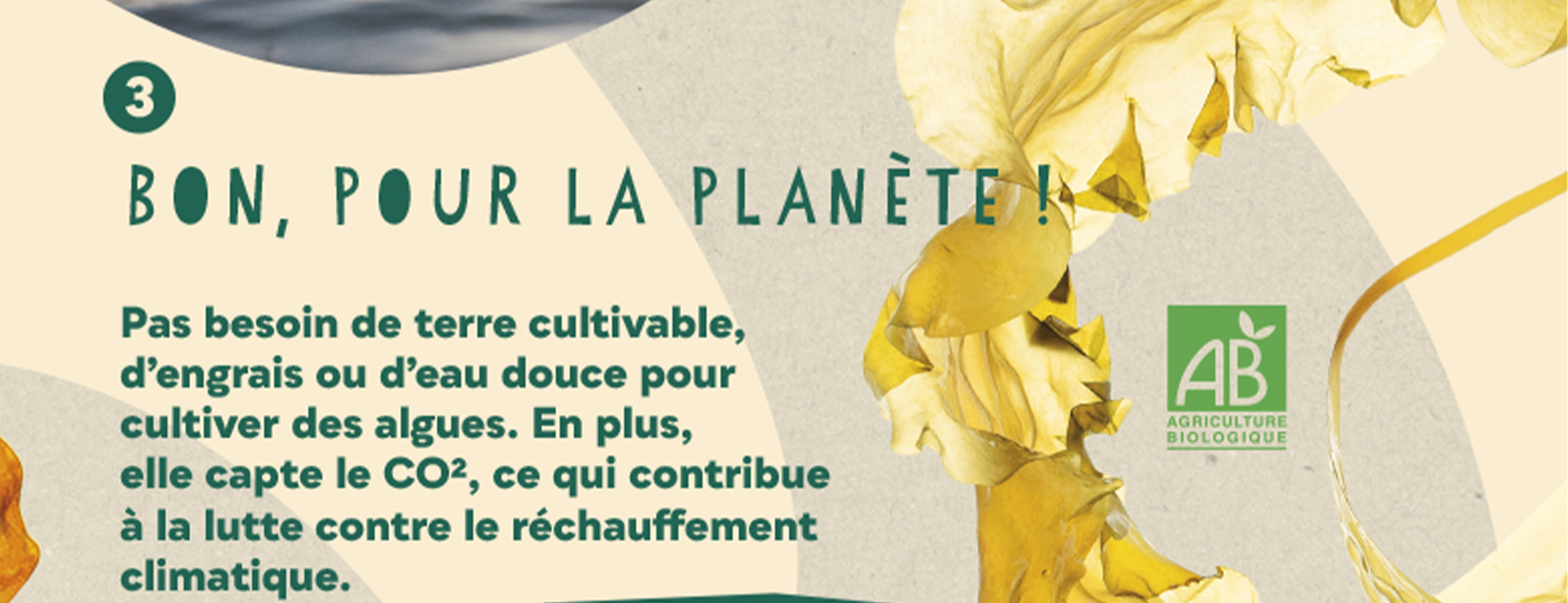 site nomade 19
