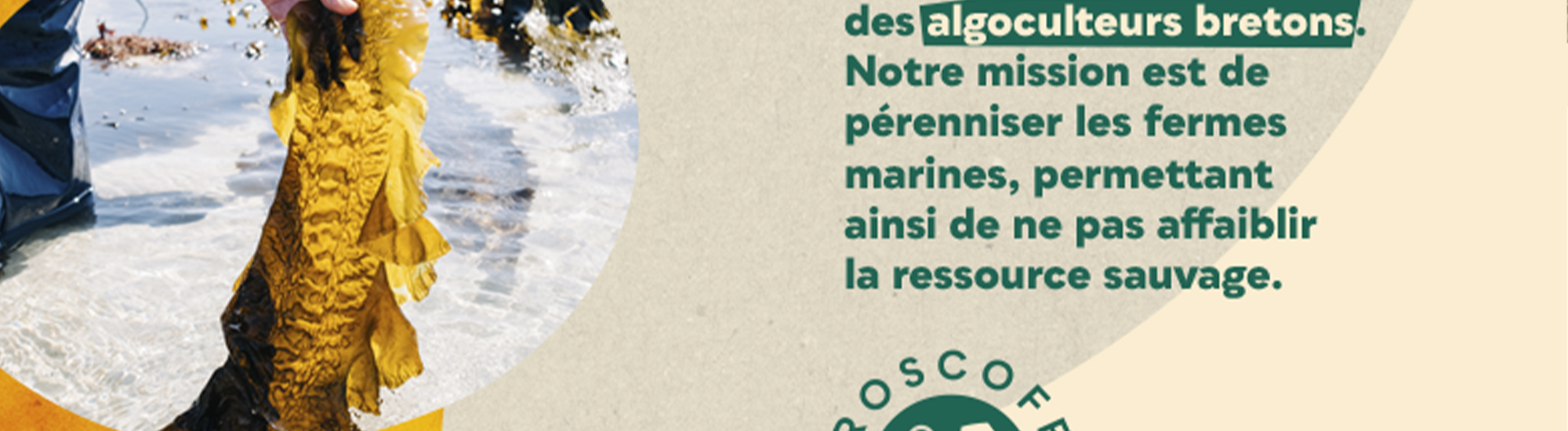 site nomade 21