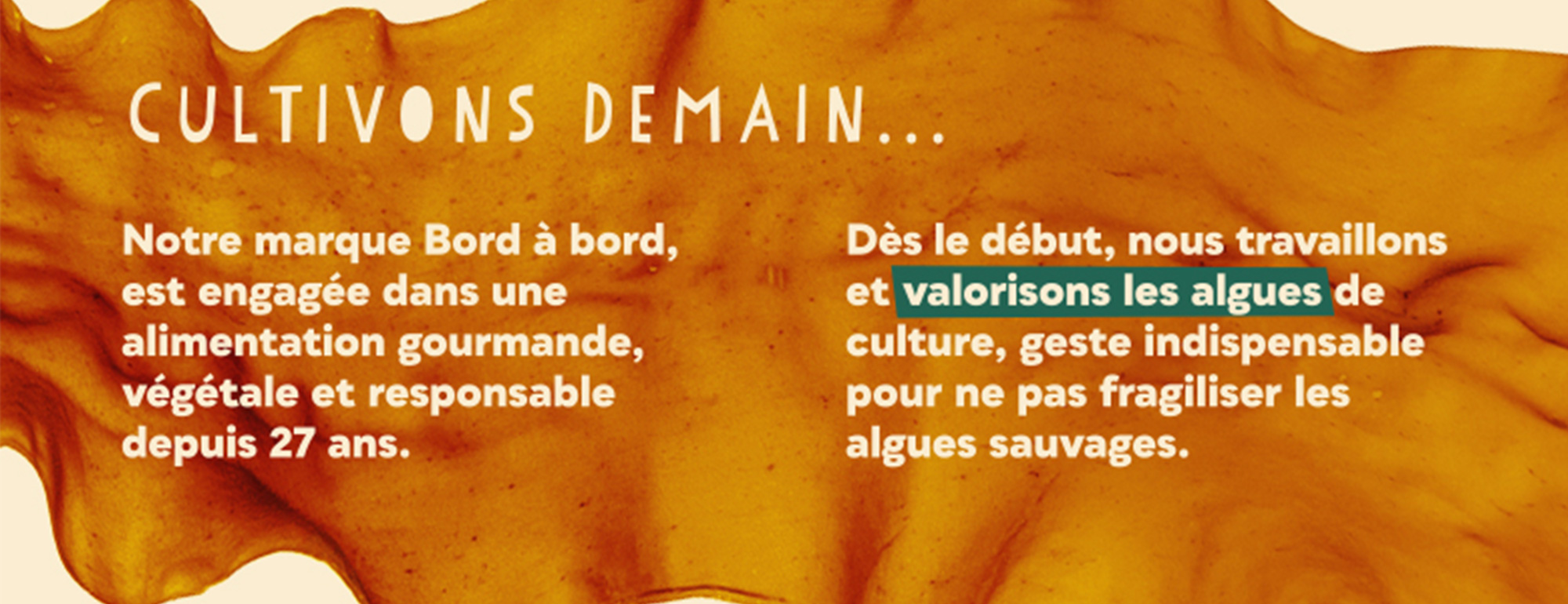 site nomade 31